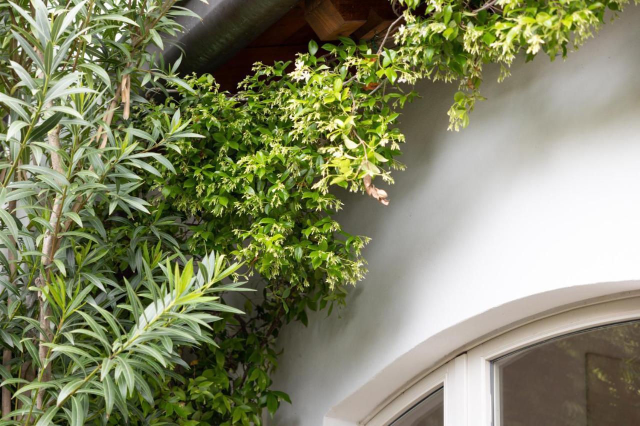The Artist'S Nest - By My Home In Como Exterior photo
